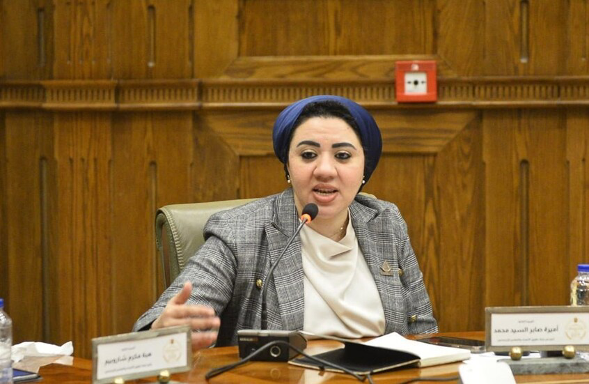 نواب بلا خبرة سياسية ومقترحات صادمة.. جدل واسع حول إنشاء بنك وطني للتبرع بالأنسجة في مصر